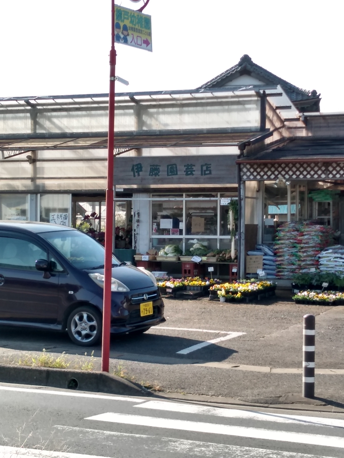 千葉市緑区 お庭を楽しく 伊藤園芸店で彩り豊かなお花が買えます 号外net 千葉市若葉区 緑区