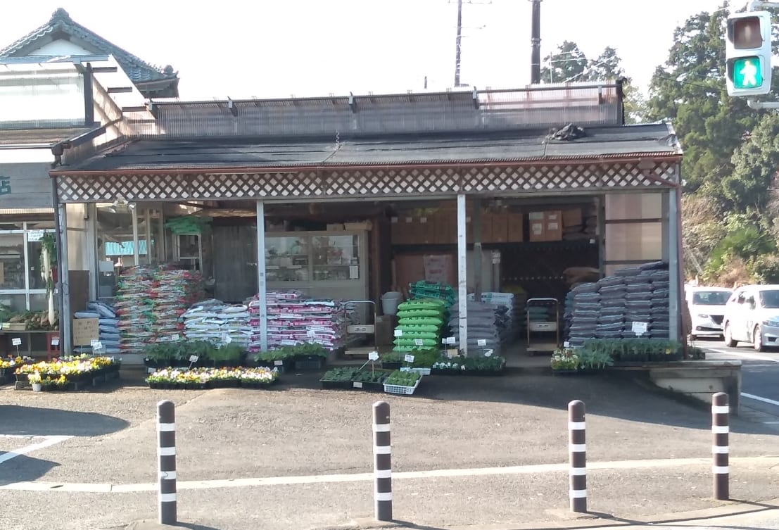 千葉市緑区 お庭を楽しく 伊藤園芸店で彩り豊かなお花が買えます 号外net 千葉市若葉区 緑区