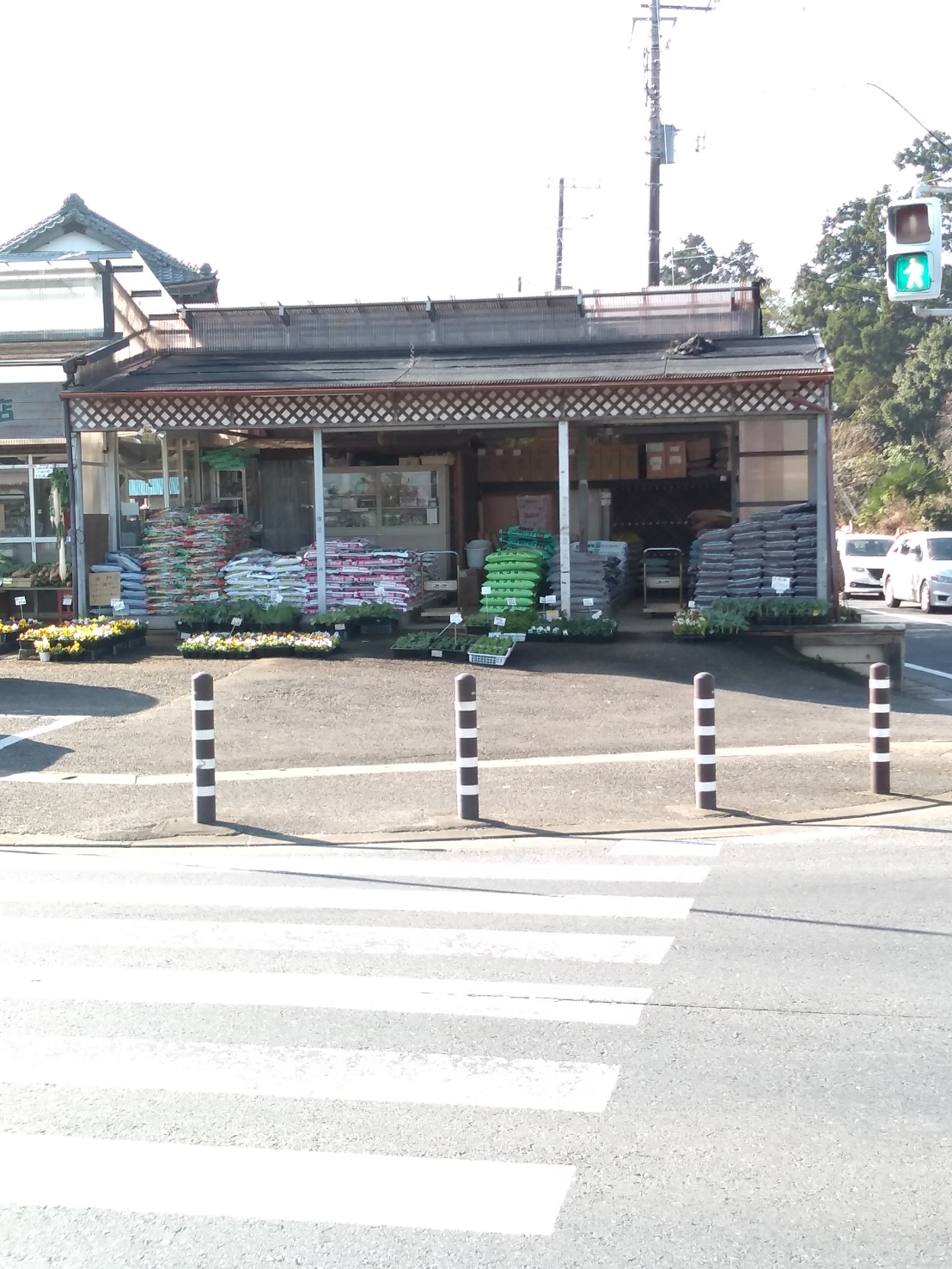 千葉市緑区 お庭を楽しく 伊藤園芸店で彩り豊かなお花が買えます 号外net 千葉市若葉区 緑区